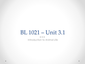 BL 1021 – Unit 3-1