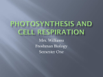 Photosynthesis and cell respiration STUDENT