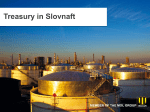 Slovnaft Treasury Function