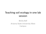 Teaching soil ecology in one lab session
