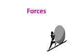 Forces - Wsfcs