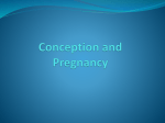 Conception and Pregnancy