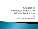 Chapter 2: Biological Process for Ethanol Production