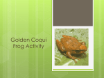 Coqui Frog - Northwest ISD Moodle