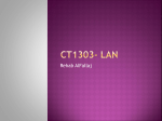 cT1303