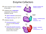 Enzyme Cofactors