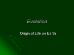 Option D: Evolution