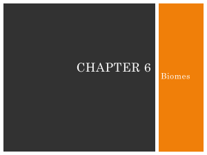 Chapter 6