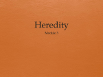 Heredity