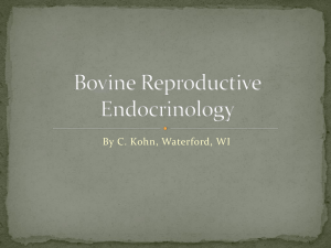 Bovine Reproductive Physiology and Endocrinology