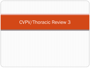 CVPV/Thoracic Review 3