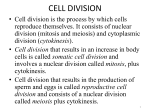 CELL DIVISION