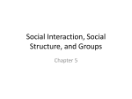 Social Interaction, Social Structure, and Groups
