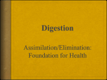 Digestion - WordPress.com