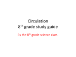 Circulation 8th grade study guide