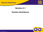 Human Inheritance