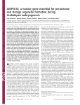 AthPEX10, a nuclear gene essential for peroxisome and storage