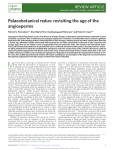 Palaeobotanical redux: revisiting the age of the angiosperms