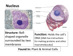 Organelle Posters - www.dewittebio.com!