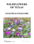 Wildflower Legends and Folkore pictures and stories a complete