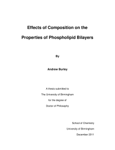 Effects of composition on the properties of phospholipid bilayers