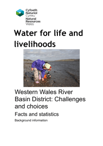 Western Wales River Basin District: Facts and statistics
