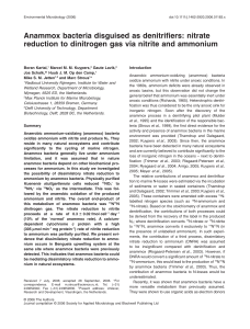 Anammox bacteria disguised as denitrifiers: nitrate reduction to