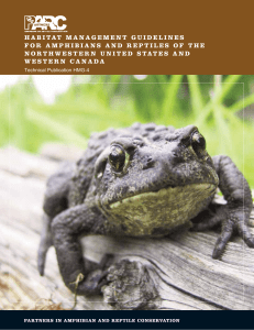 habitat management guidelines for amphibians and