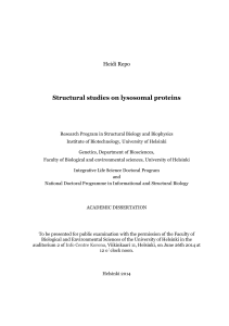 Structural studies on lysosomal proteins