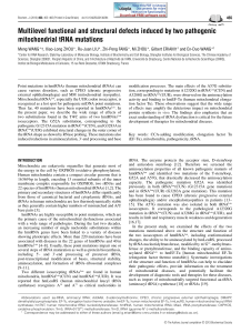 Multilevel functional and structural defects induced by two