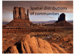 The distribution of communities