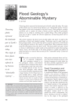 Flood Geology`s Abominable Mystery