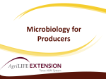 Microbiology for Producers
