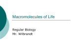 Macromolecules of Life lecture 10
