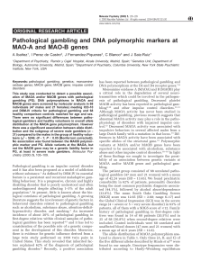 Pathological gambling and DNA polymorphic markers at
