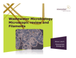 Novozyme - Steve Leach-Wastewater microbiology