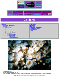 Palaeos Invertebrates: Cnidaria