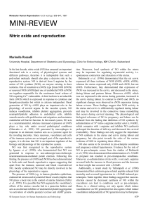 Nitric oxide and reproduction