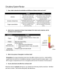 Circulatory System Review - Le site web de M. St Denis