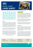 Garter snake care sheet