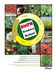 BioIPM Strawberry Workbook - The Learning Store