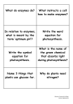 What do enzymes do? What instructs a cell how to make enzymes