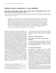 European Journal of Biochemistry 1999, 264, 833-839