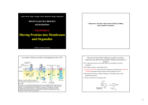 Moving Proteins into Membranes and Organelles Moving Proteins