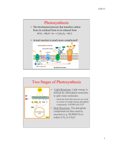 Photosynthesis Two Stages of Photosynthesis