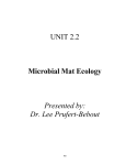 UNIT 2.2 Microbial Mat Ecology Presented by: Dr. Lee Prufert