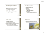 Seed Reproduction.pptx