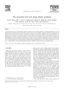 The microbial food web along salinity gradients