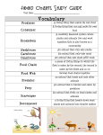 Food Chains Study Guide Vocabulary