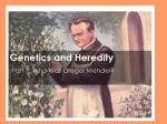 I. Gregor Mendel “father of genetics”